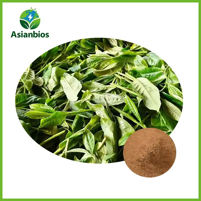 Pu-erh Tea Powder